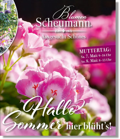 Sommer 22_ Blumen Scheumann.pdf